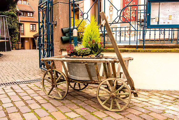 20121115_Colmar - Leonburg-327-6