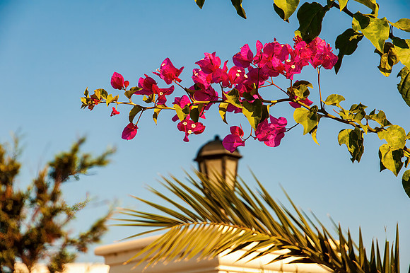 200907_Greece-68-Edit