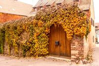20121115_Colmar - Leonburg-350-10