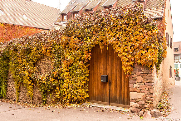 20121115_Colmar - Leonburg-350-10