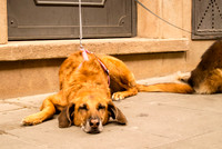 20130917_untitled-621-11