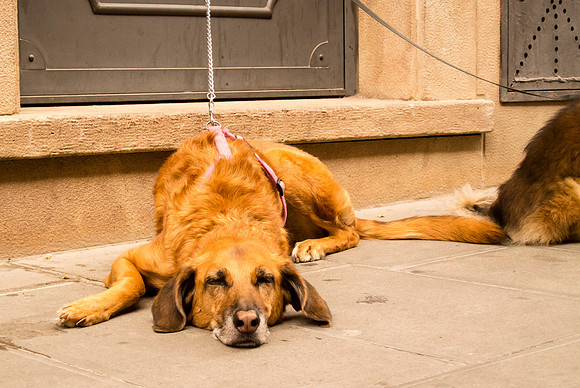 20130917_untitled-621-11
