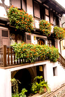 20121115_Colmar - Leonburg-352-11