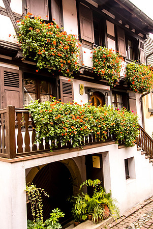 20121115_Colmar - Leonburg-352-11