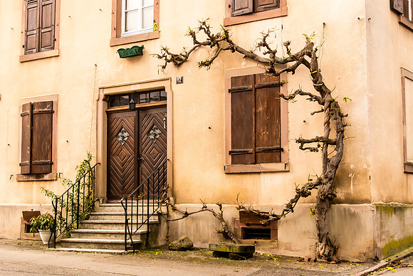 20121116_Colmar - Leonburg-444-2