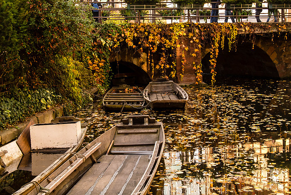 20121117_Colmar - Leonburg-557-6