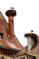 20121115_Colmar - Leonburg-413-16