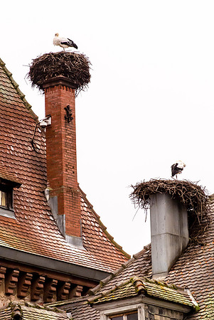 20121115_Colmar - Leonburg-413-16