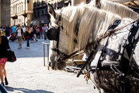Venice2013-15