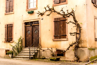 20121116_Colmar - Leonburg-444-2