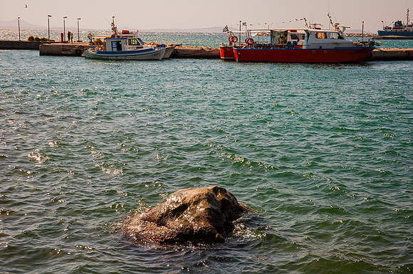 200907_Greece-70-Edit