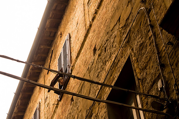 20130917_untitled-579-7