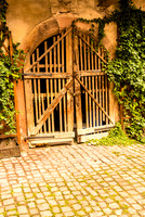 20121116_Colmar - Leonburg-452-4