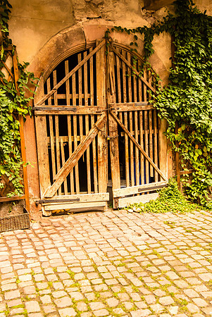 20121116_Colmar - Leonburg-452-4