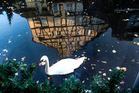 20121114_Colmar - Leonburg-217-2